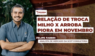 Felipe Fabbri