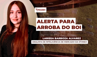 Larissa Barboza Alvarez - Analista de Inteligência de Mercado da StoneX