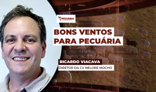 Ricardo Viacava - Diretor da CV Nelore Mocho