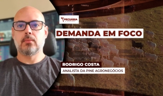 Rodrigo Costa - Analista da PINE Agronegócios