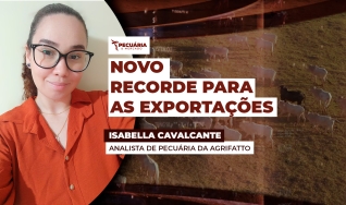Isabella Cavalcante - Analista de Pecuária da Agrifatto