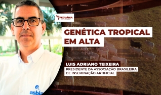 Luis Adriano Teixeira - Presidente da Associação Brasileira de Inseminação Artificial