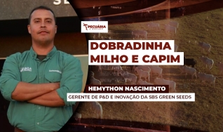 Hemython Nascimento - Gerente de P&D e Inovação da SBS Green Seeds