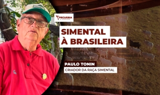 Paulo Tonin - Criador da Raça Simental