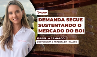 Isabella Camargo - Zootecnista e analista da HN Agro