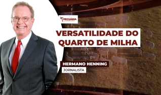 Hermano Henning - Jornalista