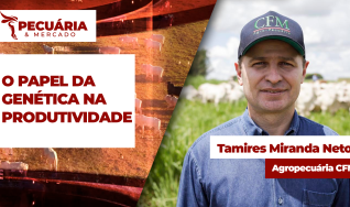 Tamires Miranda Neto - Agropecuária CFM