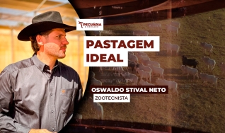 Oswaldo Stival Neto - Zootecnista