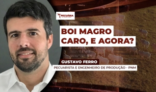 Gustavo Ferro - Pecuarista e engenheiro de produção - PNM