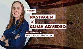 Juliana Pila - Analista Scot Consultoria