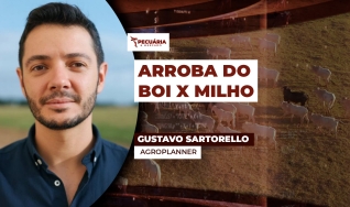 Gustavo Sartorello - Agroplanner