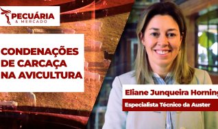 Eliane Junqueira Horning - Especialista Técnico da Auster