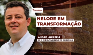 André Locateli - Ger. Executivo Nelore do Brasil