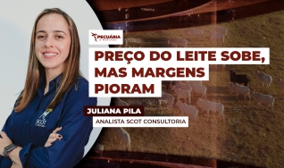 Juliana Pila - Analista Scot Consultoria