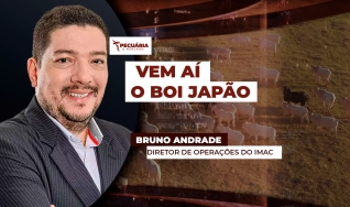 Bruno Andrade - Diretor de operações do IMAC