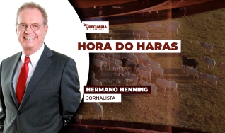 Hermano Henning - Jornalista