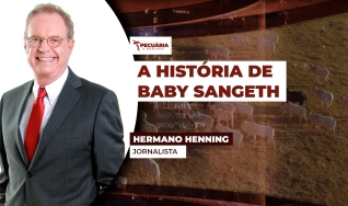 Hermano Henning - Jornalista