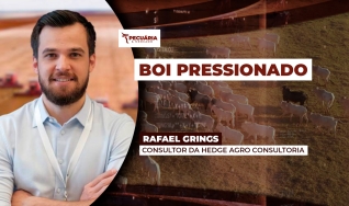 Rafael Grings - Consultor da Hedge Agro Consultoria