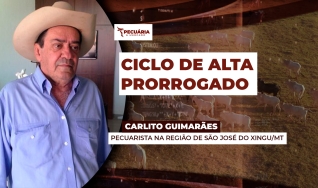 Carlito Guimarães - Pecuarista na Região de São José do Xingu/MT