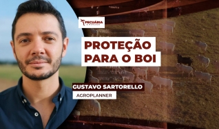 Gustavo Sartorello - Agroplanner