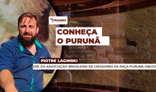Piotre Laginski - Dir. da Associação Brasileira de Criadores da Raça Purunã (ABCP)