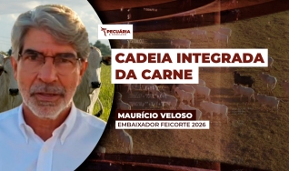 Maurício Veloso - Embaixador Feicorte 2026