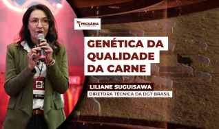 Liliane Suguisawa - Diretora técnica da DGT Brasil