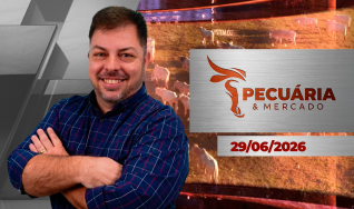 Pecuária e Mercado - Programa Completo