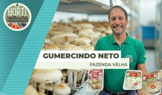 Horti Resenha Podcast - Guilherme Dorigatti