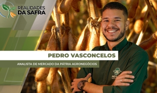 Pedro Vasconcelos