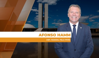 Afonso Hamm - Dep. Federal pelo PP/RS