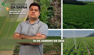 Realidades da Safra - Notícias Agrícolas