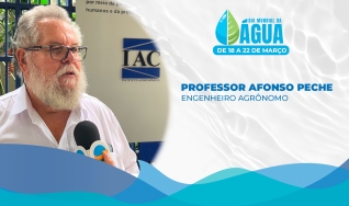 Professor Afonso Peche