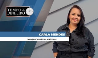 Carla Mendes