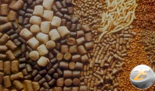 Clodys Menacho - Diretor comercial da Alltech do Brasil