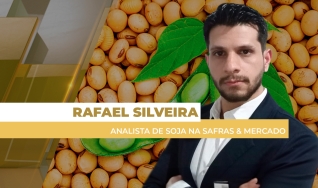 Rafael Silveira - Analista de Soja na Safras & Mercado