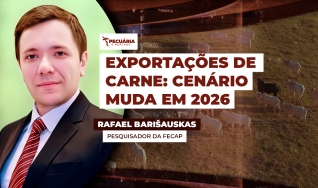 Rafael Barišauskas - Pesquisador da FECAP