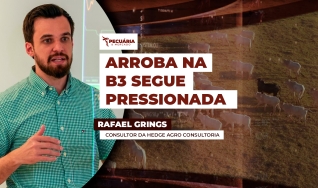 Rafael Grings - Consultor da Hedge Agro Consultoria