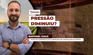 Raphael Galo - Head de Agronegócios e Mercado de Capitais na A7 Capital