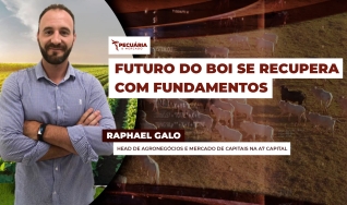 Raphael Galo - Head de Agronegócios e Mercado de Capitais na A7 Capital