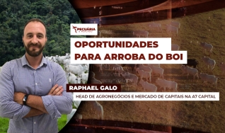 Raphael Galo - Head de Agronegócios e Mercado de Capitais na A7 Capital