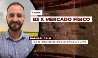 Raphael Galo - Head de Agronegócios e Mercado de Capitais na A7 Capital