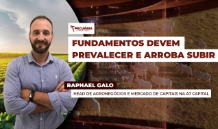 Raphael Galo - Head de Agronegócios e Mercado de Capitais na A7 Capital