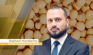 Raphael Mandarino - Diretor da AgResource Brasil