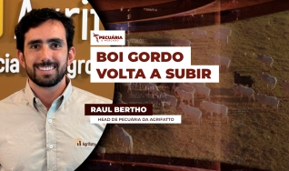 Raul Bertho - Head de Pecuária da Agrifatto
