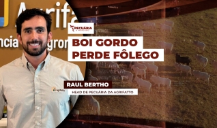 Raul Bertho - Head de Pecuária da Agrifatto