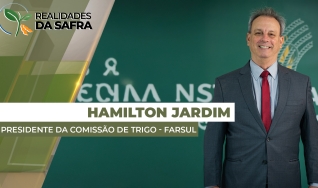 Hamilton Jardim - Presidente da Comissão de Trigo - Farsul