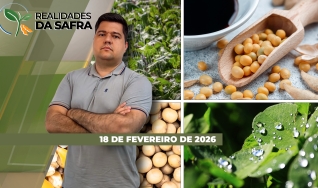 Realidades da Safra - Notícias Agrícolas