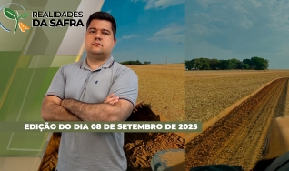 Realidades da Safra - Notícias Agrícolas