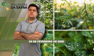 Realidades da Safra - Notícias Agrícolas